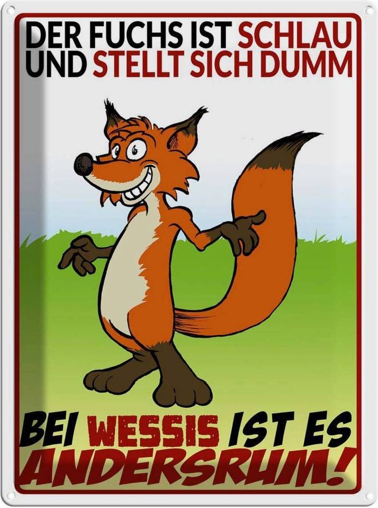 vianmo Blechschild 40x30 cm der Fuchs ist schlau Spruch Zitat