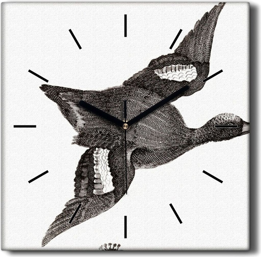 Coloray Hodiny Unikátní 30x30 cm Tiché hodiny Pro obývací pokoj a kuchyň Nástěnné hodiny Plátno Černé ručičky hodin - Ptáci zvířat