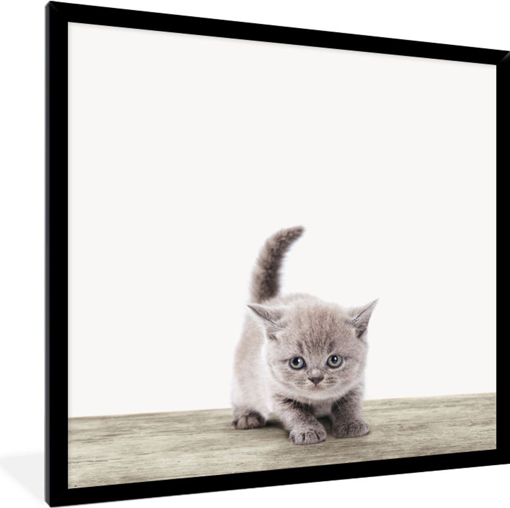 MuchoWow Gerahmtes Poster Kätzchen - Katze - Haustiere - Jungen - Kinder - Mädchen 40x40 cm - Poster mit Schwarzem Bilderrahmen Wandposter Rahm...