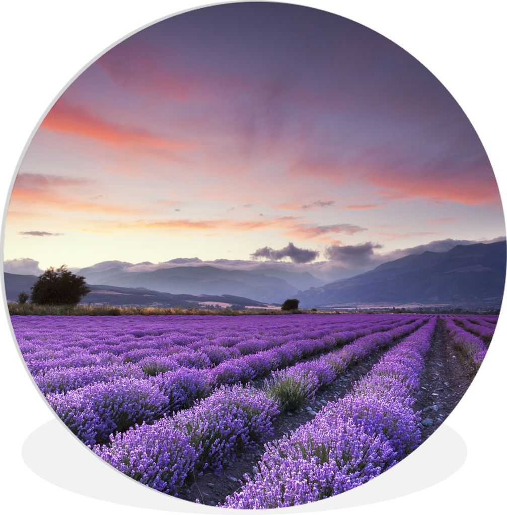 MuchoWow Rundes Wandbild - Runde Bilder Sonnenuntergang über Lavendel Ø 90 cm Kreis Wanddekoration Kunststoff - Wandkreis - Wandschmuck - Wand-...