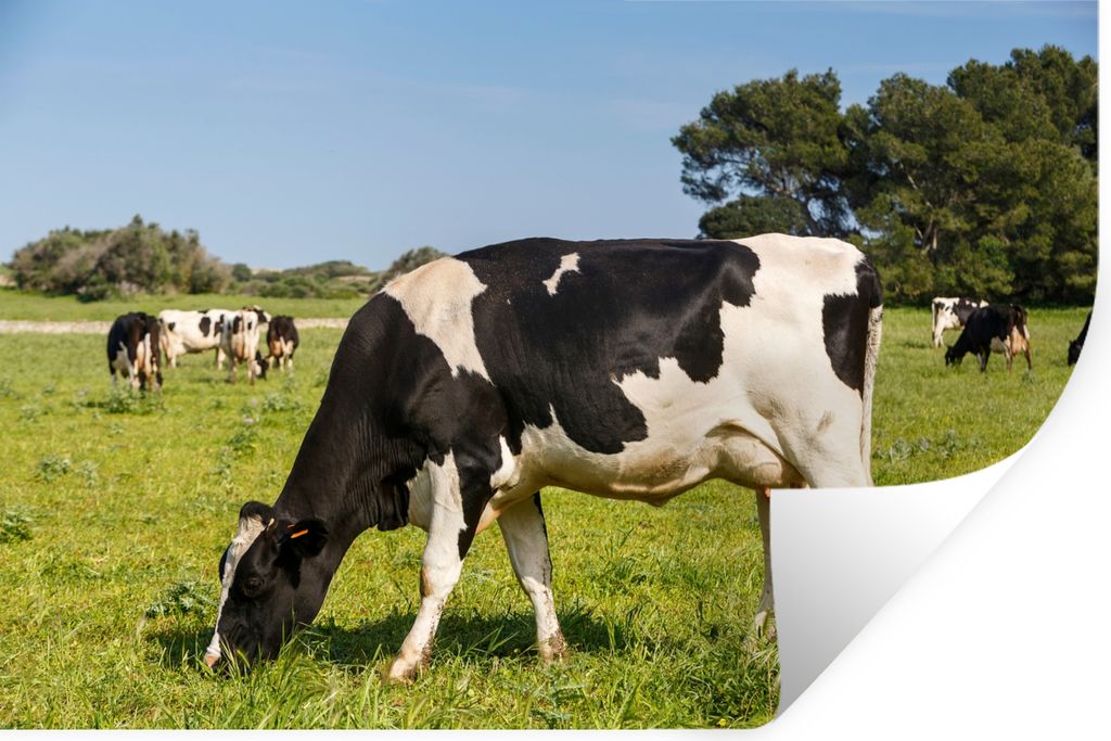 MuchoWow - Wierderverwendbar - Selbstklebend