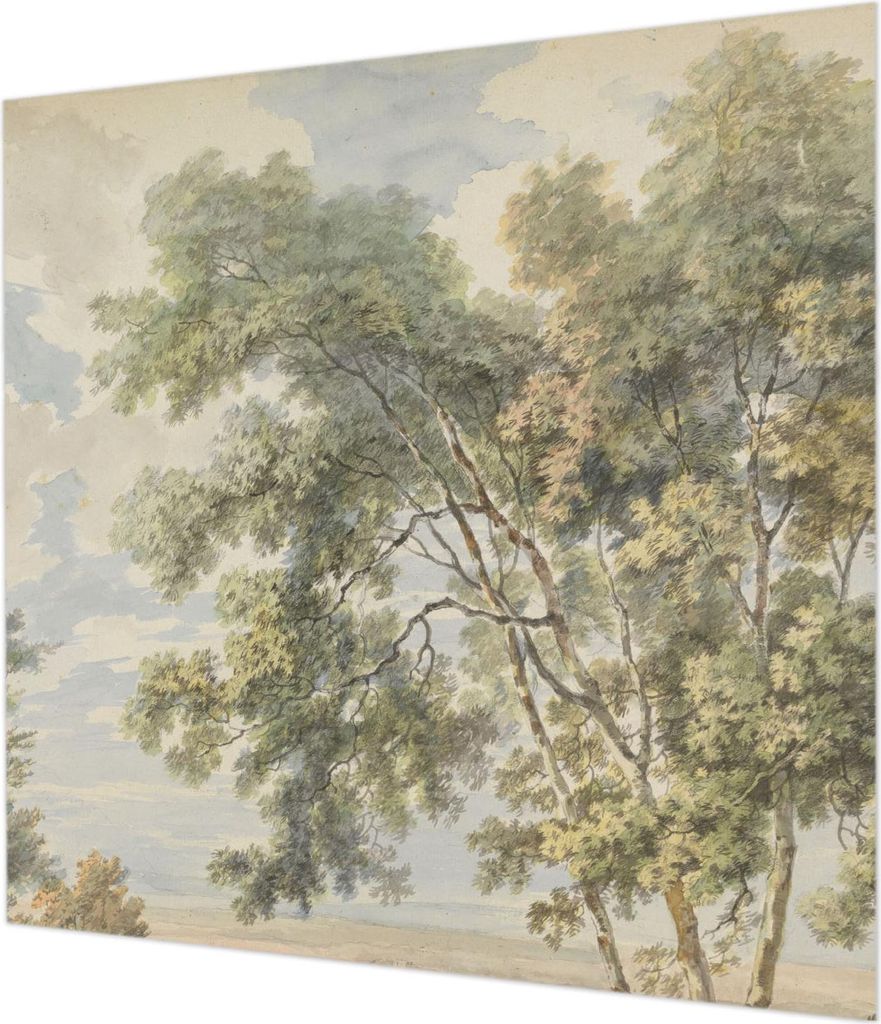 Wandtapete - Dekorative Tapete für Wohnzimmer - Tapetenfolie für Wanddekoration - 250x250 cm - Romantische Natur