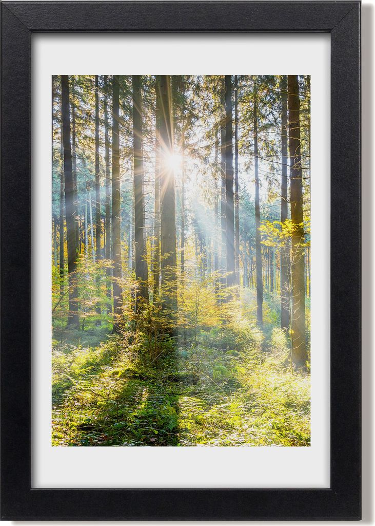 Bild 20x30 MDF-Rahmen, Wandkunst Sonne im Wald