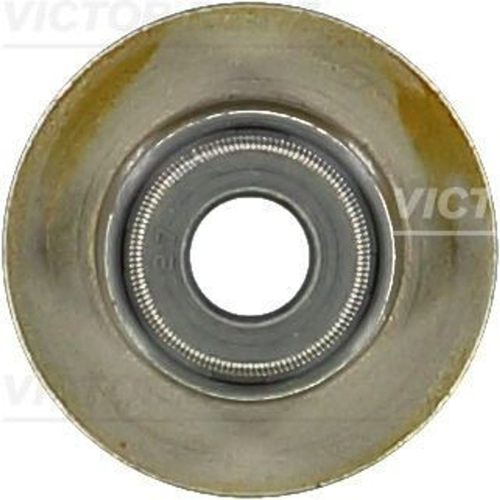 REINZ Ventilschaftdichtung Ventilschaftdichtung 70-10130-00 für HYUNDAI Tucson (TL, TLE)