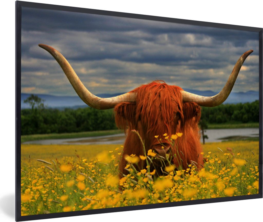 MuchoWow MuchoWow Gerahmtes Poster Schottisches Hochlandrind - Tiere - Blumen 30x20 cm - Poster mit zchwarzem Bilderrahmen - Kunstdruck - Bild-...