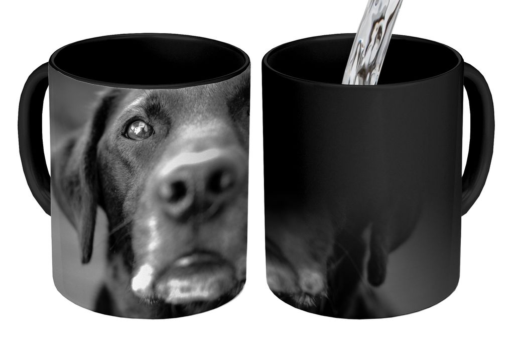 KitchenYeah Zauber Tasse Zaubertasse Magic Tierprofil Labrador Hund in schwarz und weiß 350 ml Farbwechsel Becher Geschenk Geschenkidee - Magic-...