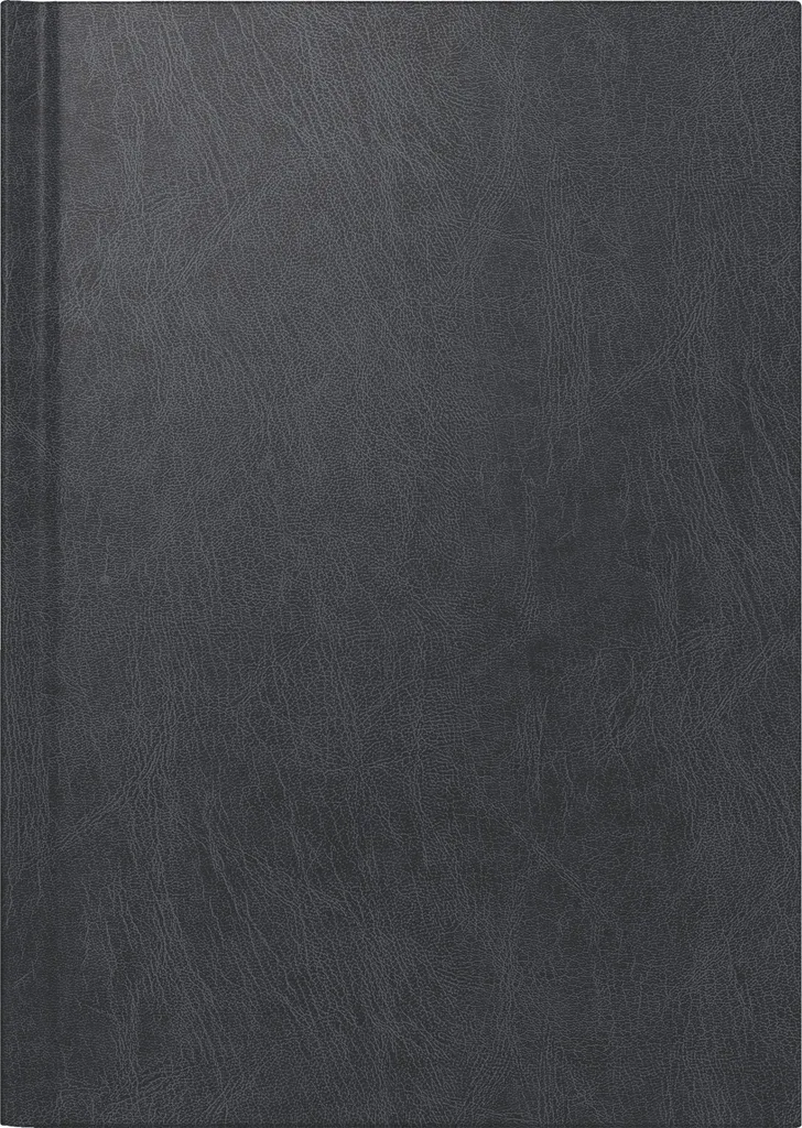 Scheda Tecnica Agenda Rido/Idé 7021813906 A5 1T/1S - Disponibile