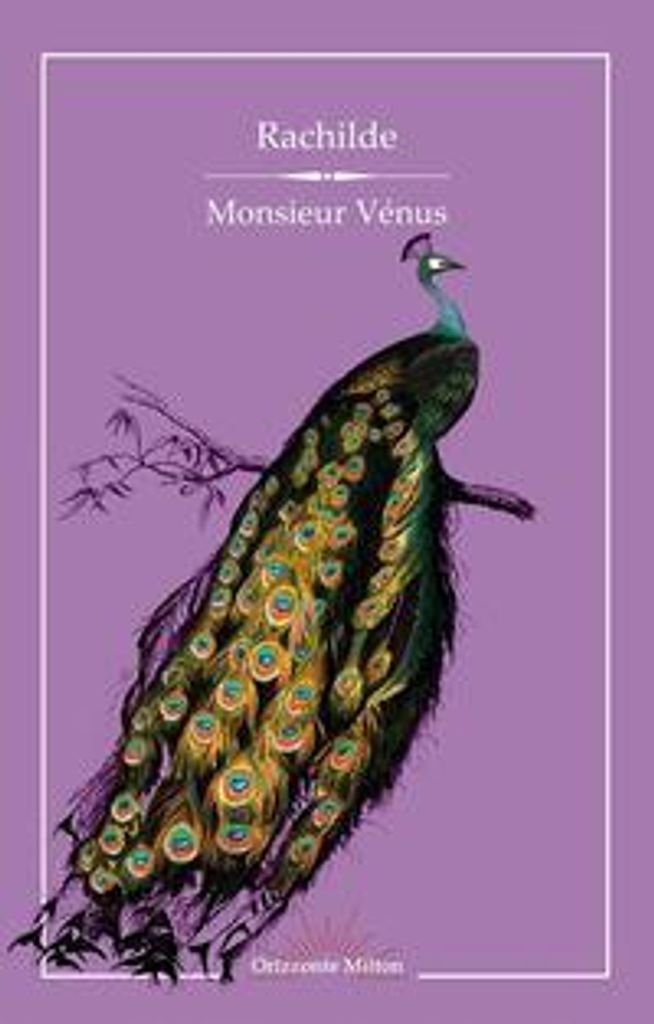 Rachilde: Monsieur Vénus