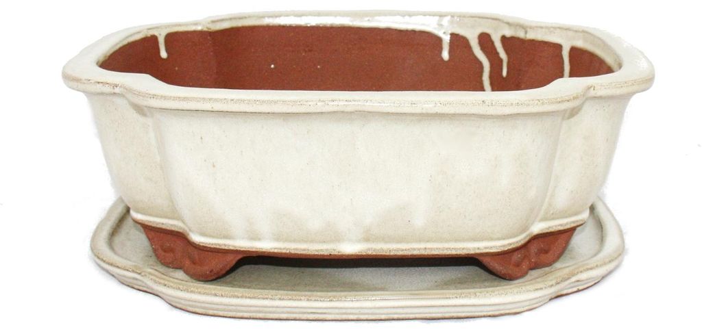 Bonsai-Schale mit Unterteller Gr. 5 - hellbeige - haitang I4 - L 31,5cm - B 26cm - H 11cm