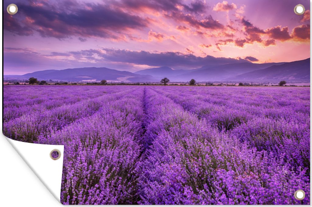 MuchoWow 60x40 cm Outdoor-Poster Gartendeko Sichtschutz Garten Poster für den Garten Lavendel - Lila - Blumen - Feld