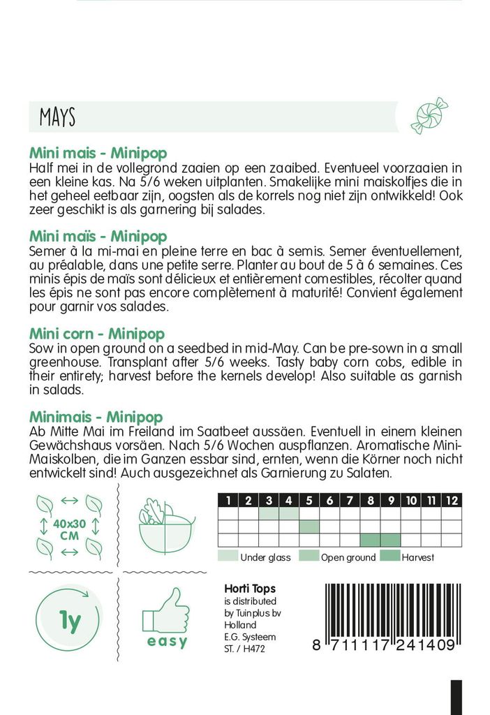 Minimais Minipop F1 | Maissamen von Hortitops