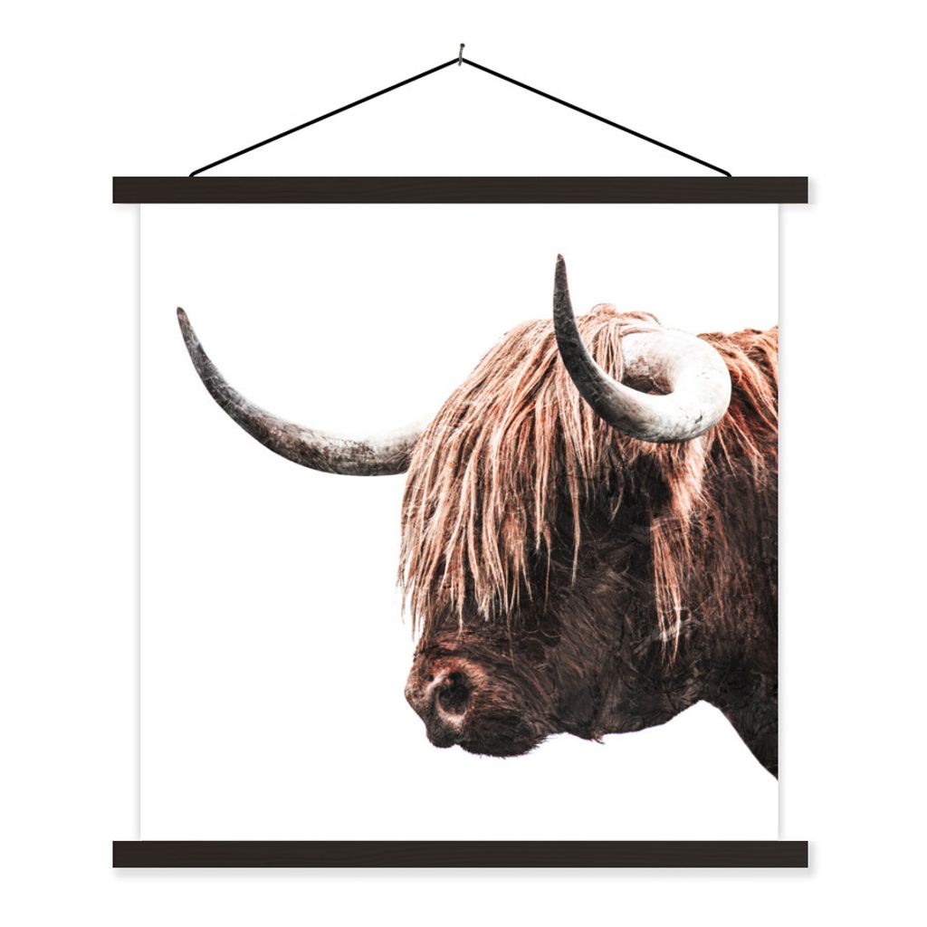 MuchoWow Textilposter Schottischer Highlander - Tiere - Hörner 120x120 cm mit schwarzem Rahmen - Aufhängungsset