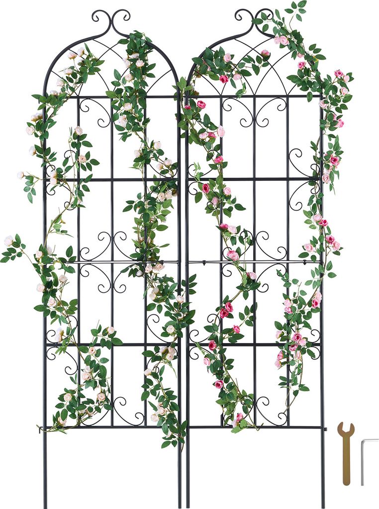 SucceBuy traliccio da giardino per piante rampicanti, 180,3 Immagine del prodotto 