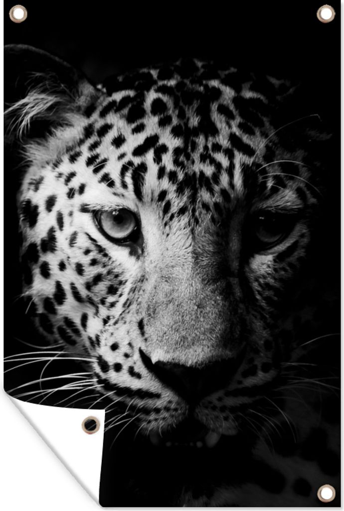 MuchoWow 40x60 cm Outdoor-Poster Gartendeko Sichtschutz Garten Poster für den Garten Panther - Wildtiere - Schwarz und weiß - Tiere