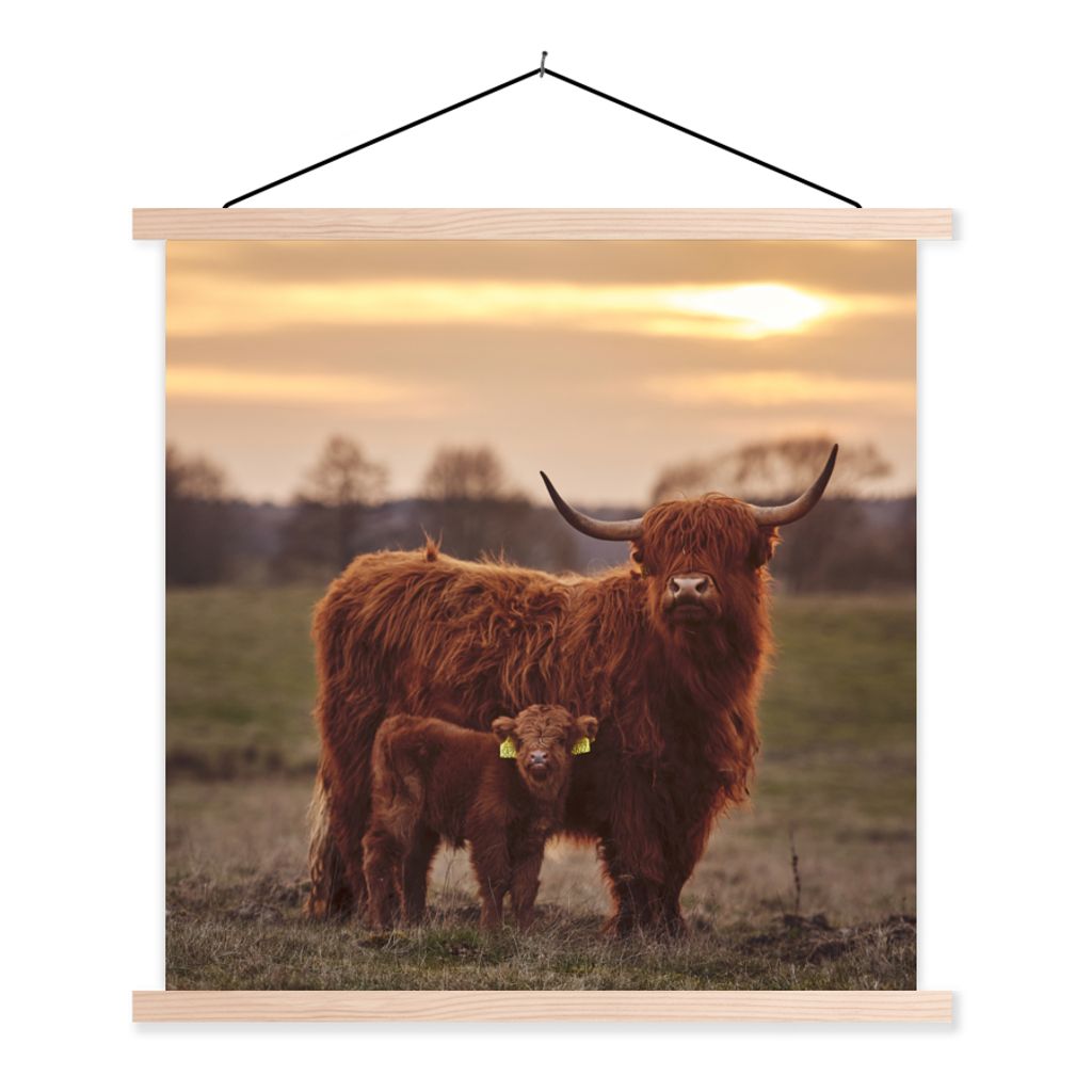 MuchoWow Textilposter Schottische Highlander - Tiere - Landschaft - Sonnenuntergang - Kuh 40x40 cm mit holzfarbenen Rahmen - Posterleiste