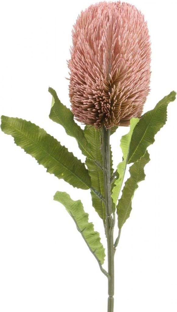 Kunstblume Banksia für Herbstdeko und Gedenkfloristik