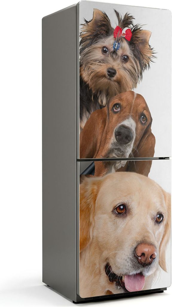 Drei Hunde in einem Bild – Magnetische Kühlschrank Abdeckung – Dekorfolie magnetisch Küche – Kühlschrank Magnet Deko – selbstklebende Ma...