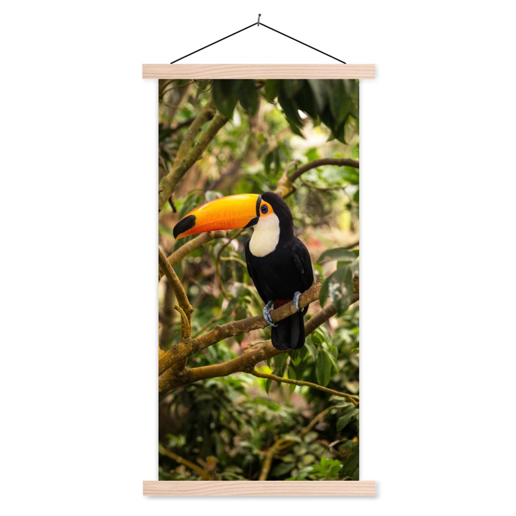 MuchoWow Textilposter Vogel - Tukan - Dschungel - Natur - Tropisch 40x80 cm mit holzfarbenen Rahmen - Wohnzimmer