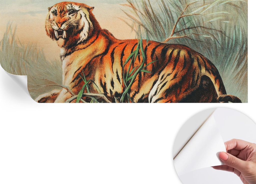 Selbstklebende Wandtapete - Dekorative Tapete für Wohnzimmer - Klebefolie für Wandbilder - Tapetenfolie für Wanddekoration - 208x146 cm - Tiger ...