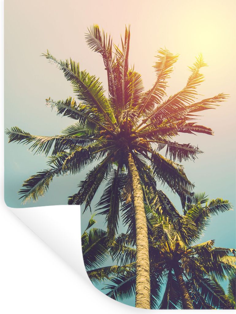 MuchoWow Wandtattoo Wandsticker Wandaufkleber Palme - Sommer - Tropisch - Sonne 90x120 cm Selbstklebend und Repositionierbar - Faltenfrei