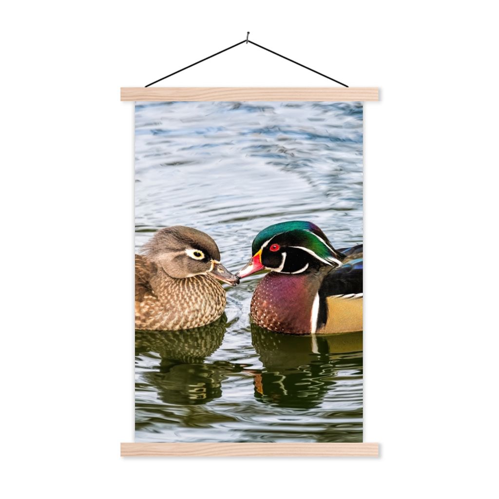MuchoWow Textilposter Ente - Vögel - Wasser - Federn - Tiere 60x90 cm mit holzfarbenen Rahmen - Textil