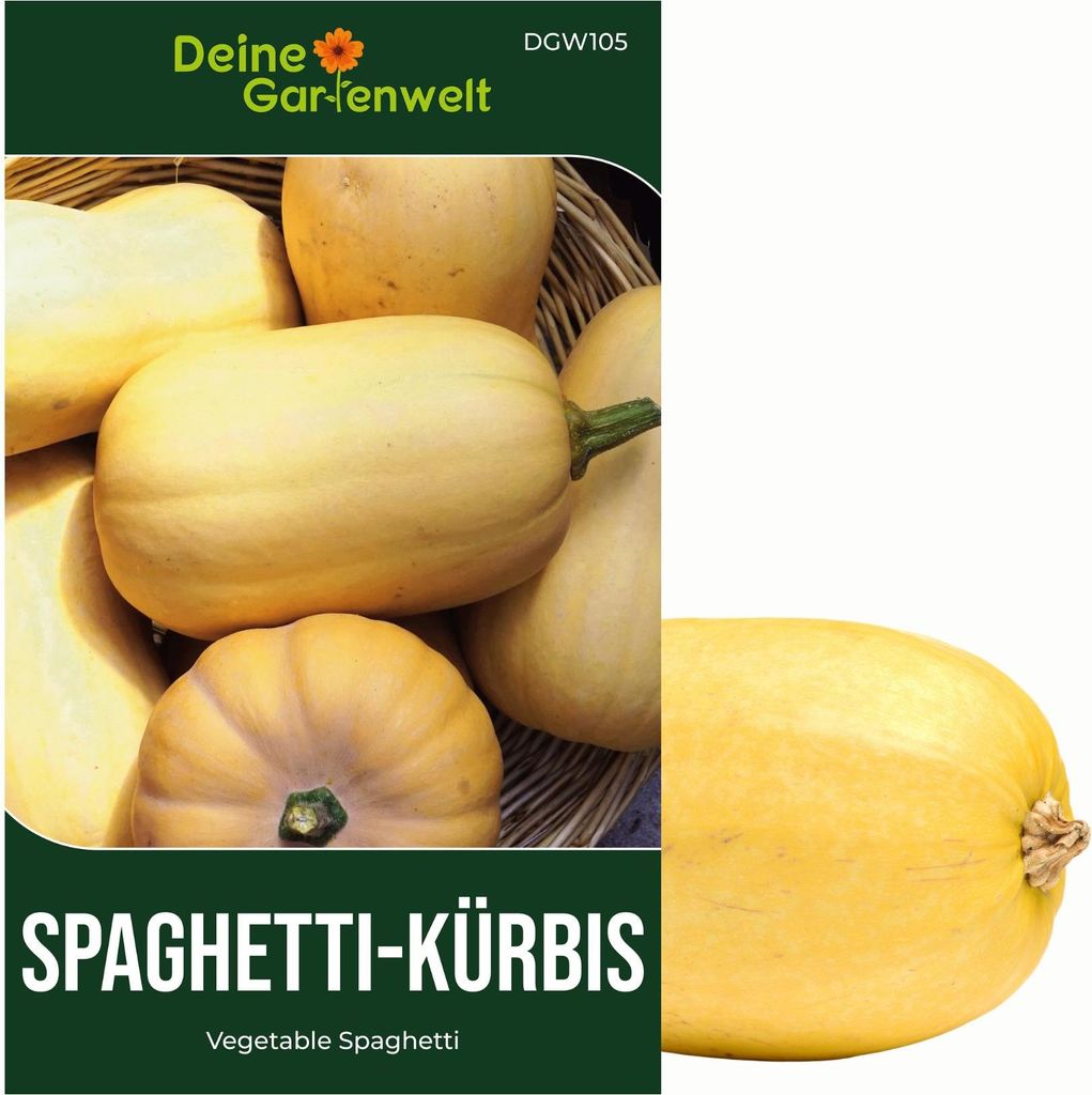 Spaghetti-Kürbis Vegetable Spaghetti Samen - Cucurbita pepo - Spaghetti-Kürbissamen - Gemüsesamen - Saatgut für 5 Pflanzen