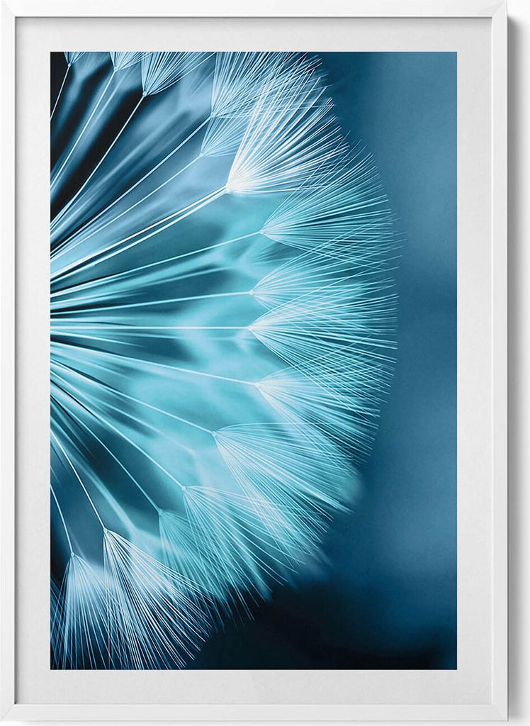 Nahaufnahme einer Schmeißfliege– Wandbild mit Rahmen – Gerahmtes Bild – Wanddekoration – 70x100 cm – Weiß Rahmen
