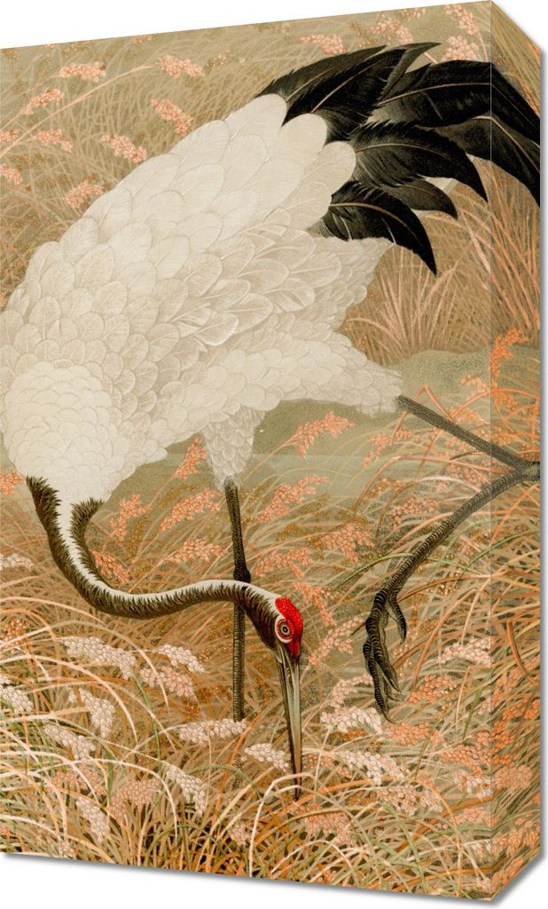 Bild 30x50cm Sarus Crane, G.A. Audsley Japanisch Vintage