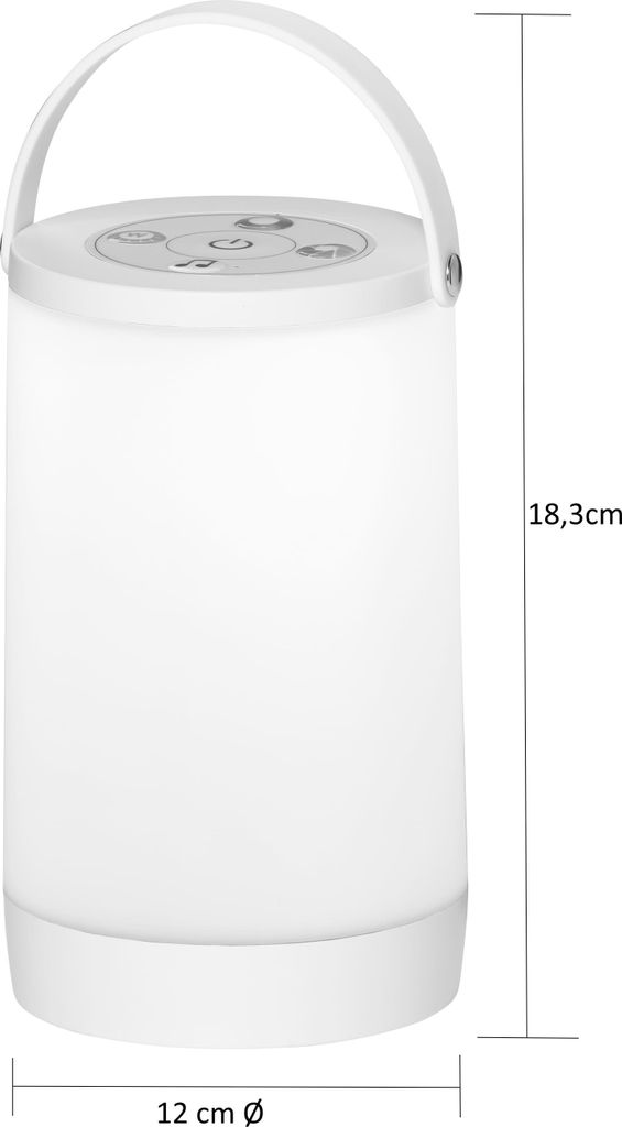 Northpoint LED RGB-IC Laterne für Innen und Außen Regenbogeneffekt Soundsteuerung