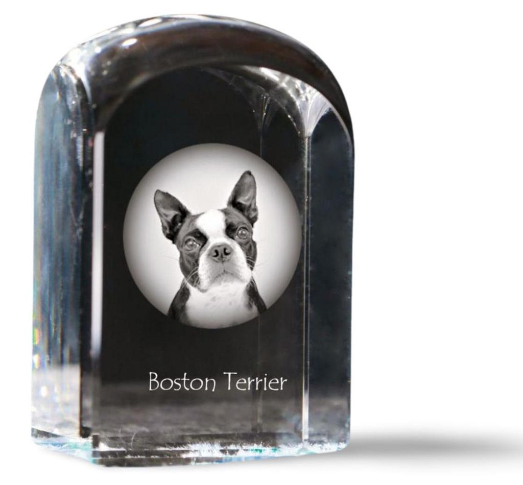 Boston Terrier - Kristallwürfel mit Bild, Hundebild im Kristall, sechseckiger Papierclip von Art-Dog.