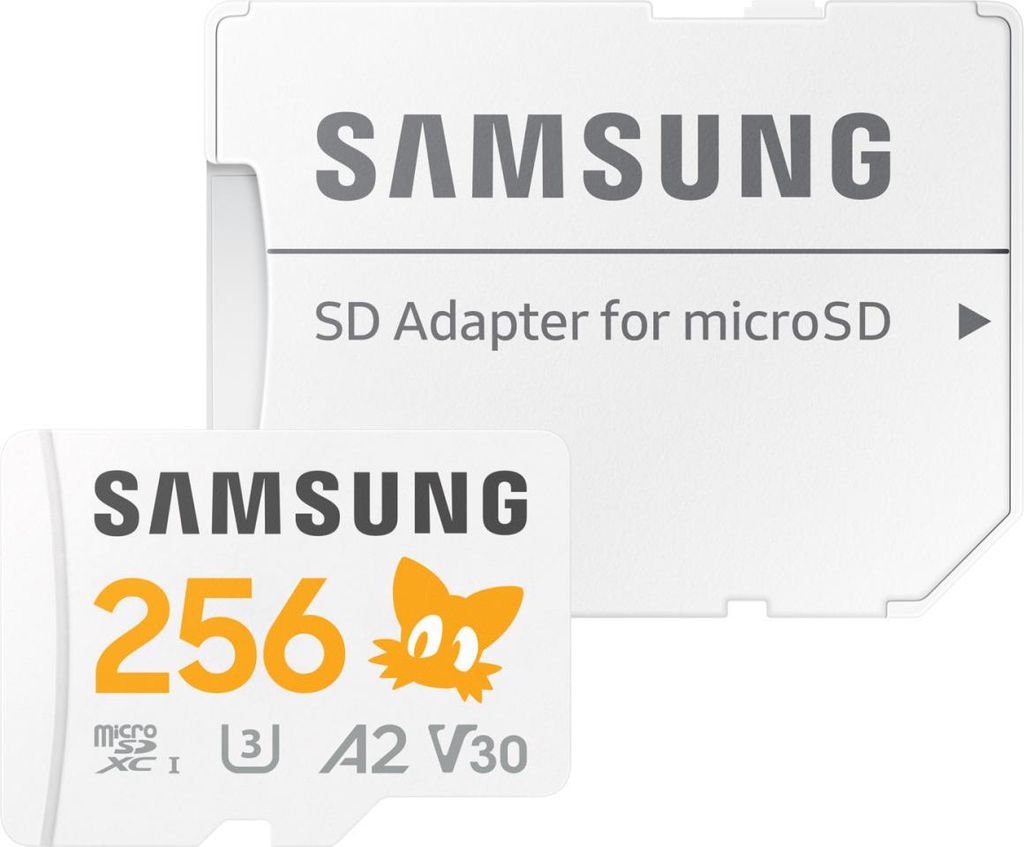 Samsung MB-MD256S 256 Go MicroSDXC UHS-I Class 10 Image du produit 
