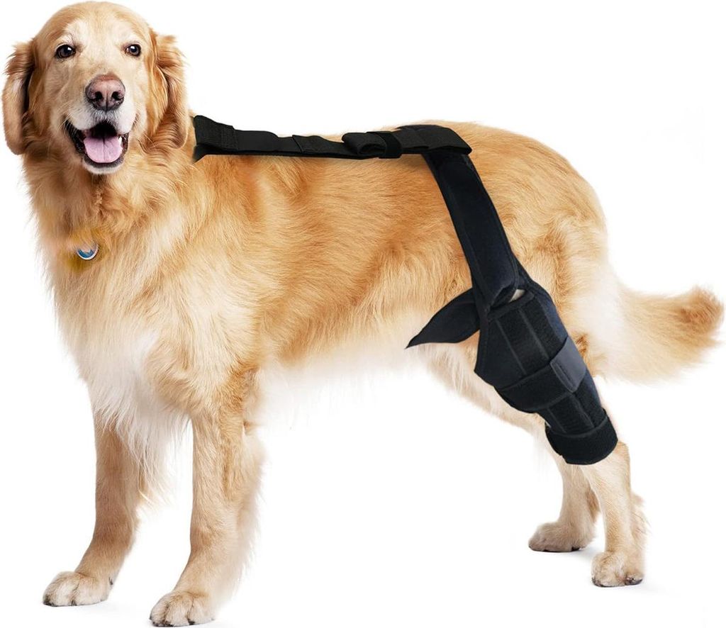 Verstellbare Knieorthese für Hunde – Hinterbeinstütze zur Produktbild 