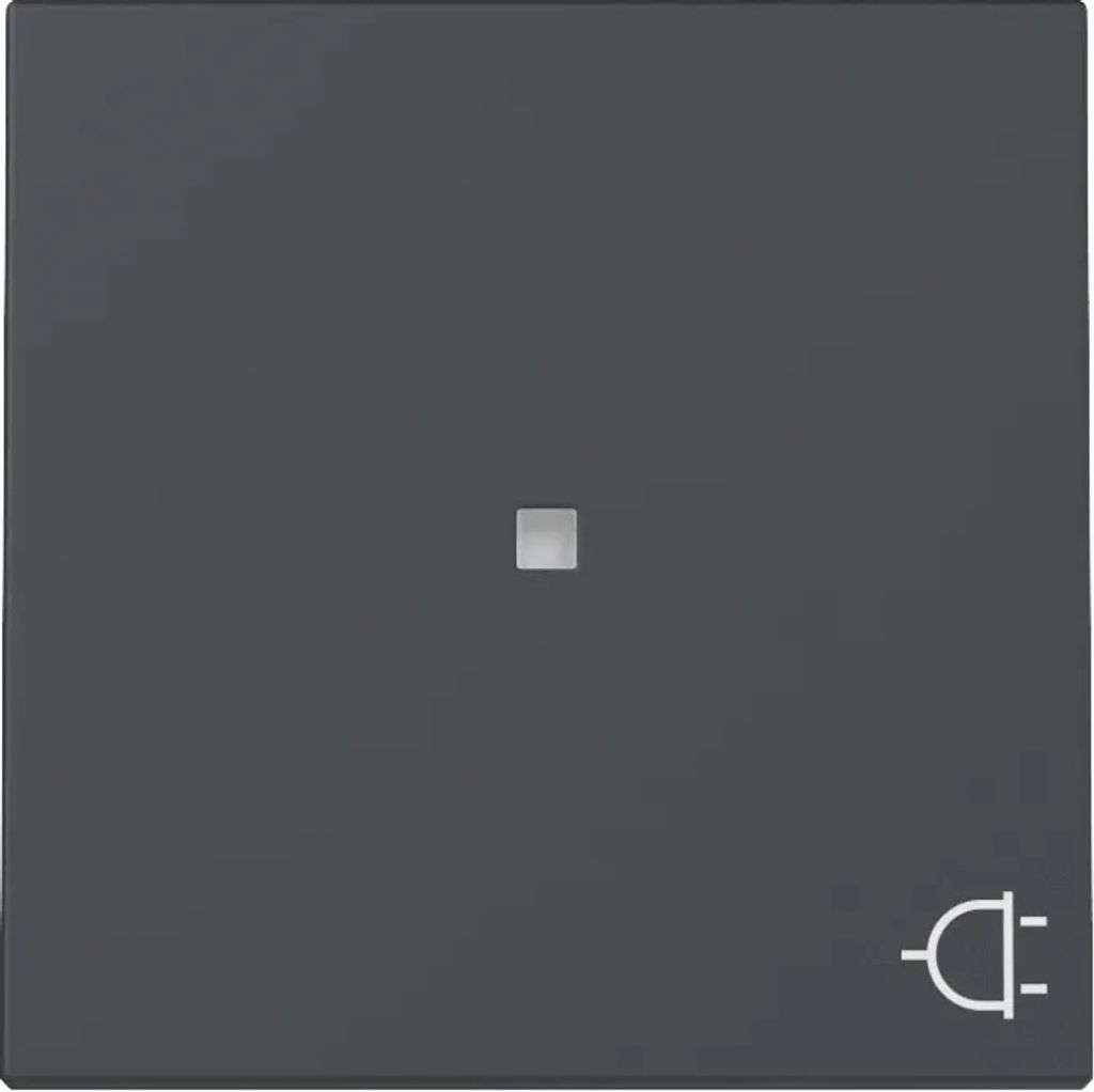 Gira Wippe Kontrollf. + Symb. 329128