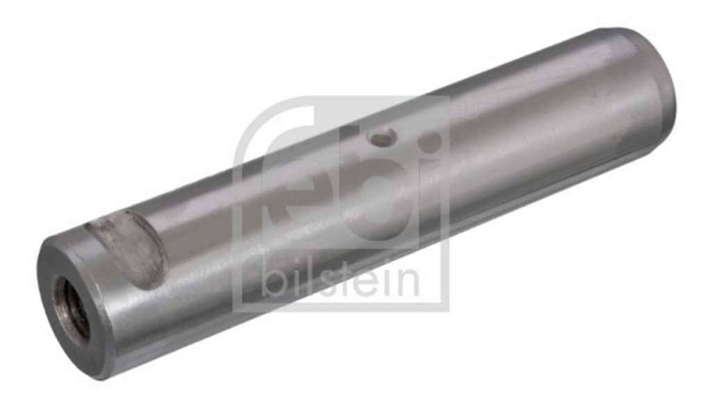 FEBI BILSTEIN Federbolzen 09579 Vorne unten für MAN E2000 142mm 30mm 0,73kg