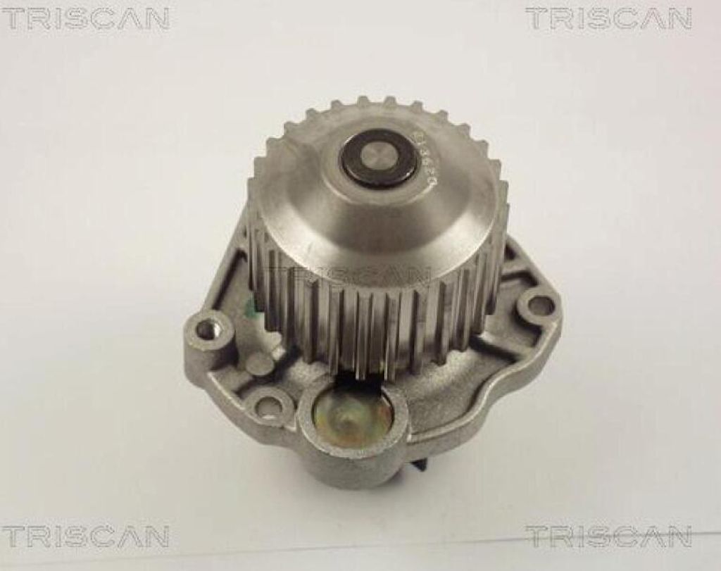 TRISCAN Wasserpumpe 8600 10020