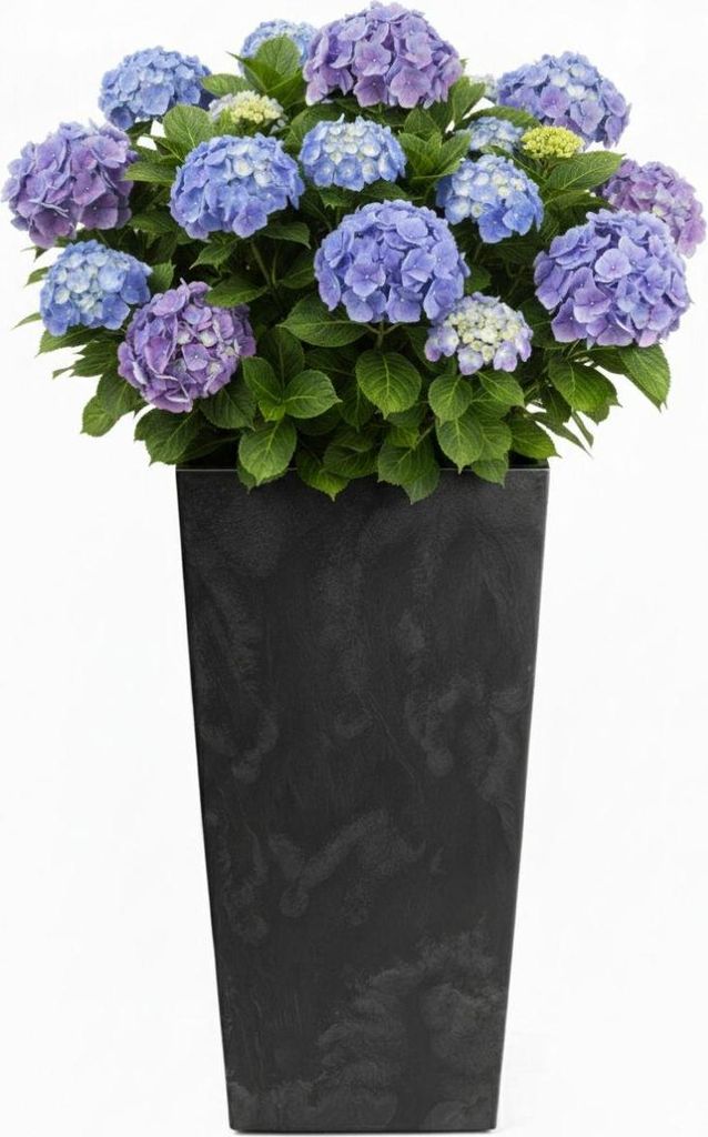 HowHomely | Blumenkübel - Pflanzgefäß - schwarz - B40xH75 cm - Übertopf - Betonstruktur - Dekorativ