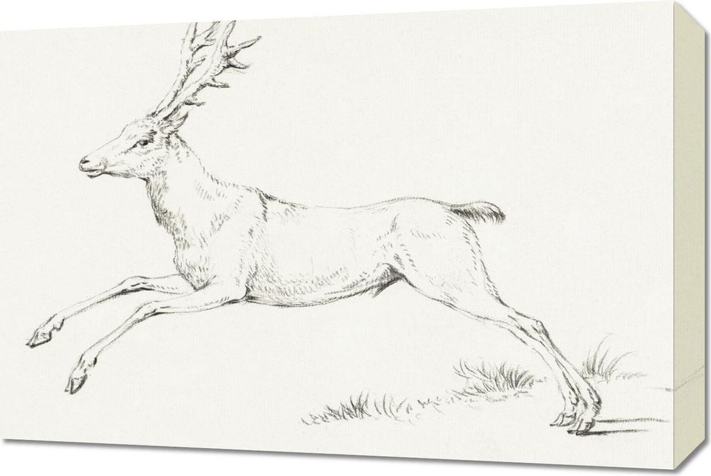 Bild 60x40cm Springender Hirsch, Jean Bernard Vintage für das Wohnzimmer