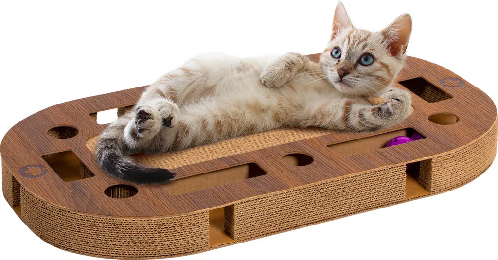 Recensione PlayPlate MEDIUM Canadian Cat - Tiragraffi e Gioco - 1