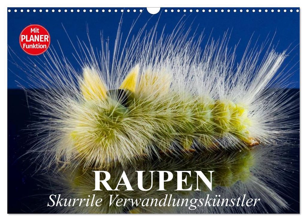 Raupen. Skurrile Verwandlungskünstler (Wandkalender 2027 DIN A3 quer), CALVENDO Monatskalender