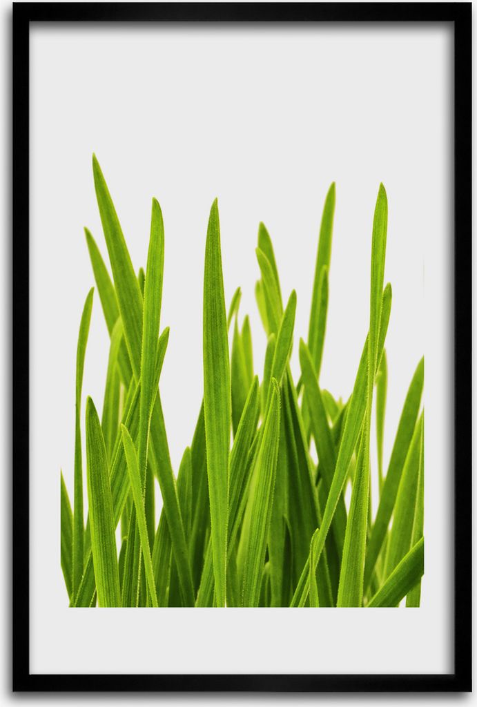 Bild - Bilderrahmen - 40 cm x 60 cm - MDF - Rahmen - Wandkunst - Grünes Gras