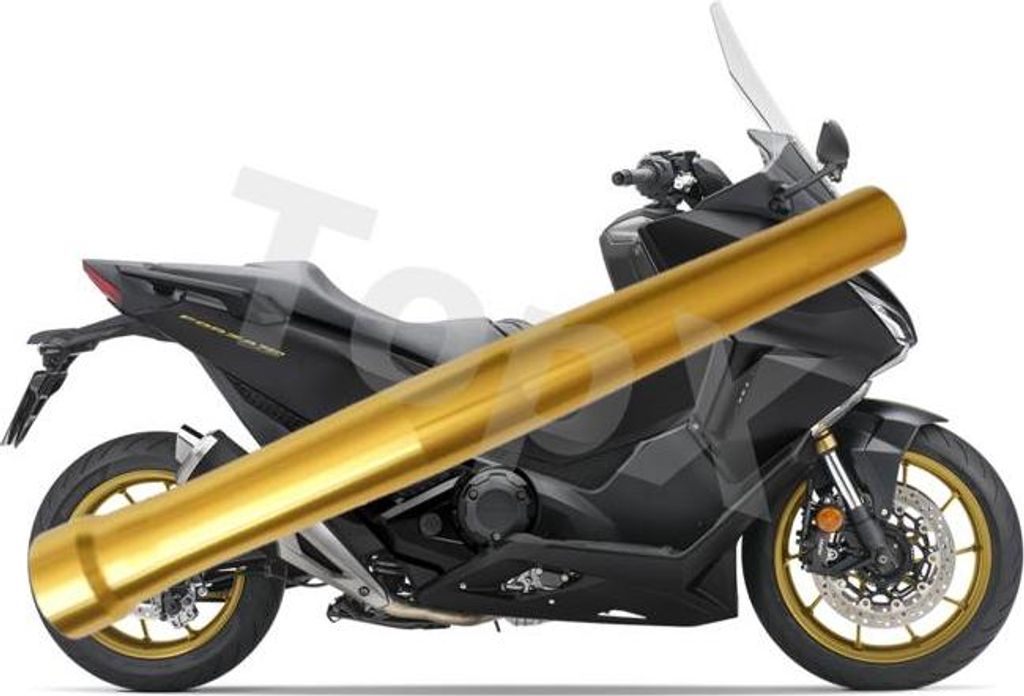 TopX SHIN Tube Gabel Stoßdämpfer SUSPENSION HONDA FORZA 750 21+