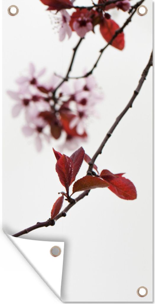 MuchoWow 40x80 cm Outdoor-Poster Gartendeko Sichtschutz Garten Poster für den Garten Blumen - Blüte - Kirschbaum