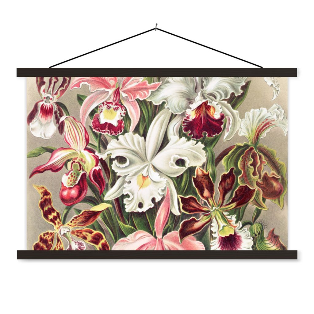 MuchoWow Textilposter Blumen - Ernst Haeckel - Jahrgang - Orchidee 60x40 cm mit schwarzem Rahmen - Hölzernes