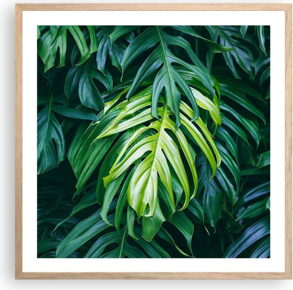 Gerahmtes Poster - Rahmen in heller Eiche - Blume Natur - 60x60 cm - Wand Bild - Wanddeko - Wandbilder - Kunstposter - Wandposter - Bilderrahmen - ...
