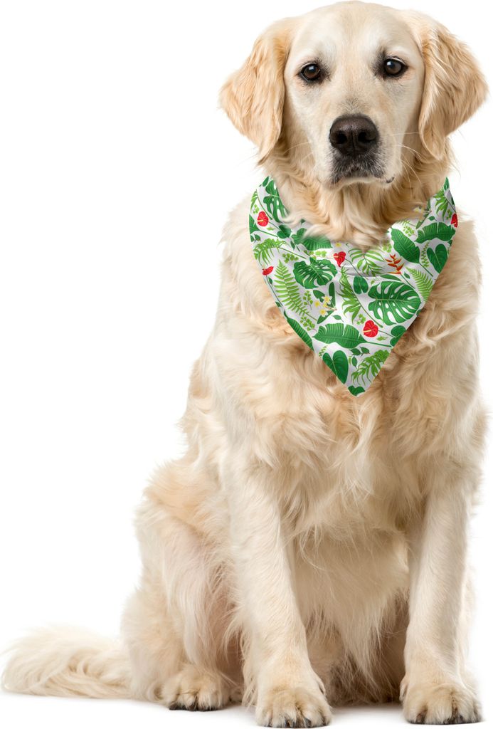 ABAKUHAUS Botanisch Haustier Bandana, Tropisch Flora, 55x55 cm, Grün Lindgrün