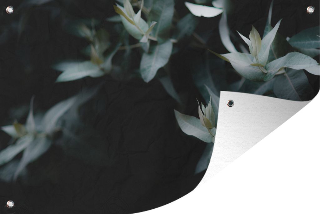 MuchoWow 60x40 cm Outdoor-Poster Gartendeko Sichtschutz Garten Poster für den Garten Eukalyptuszweige auf dunklem Hintergrund