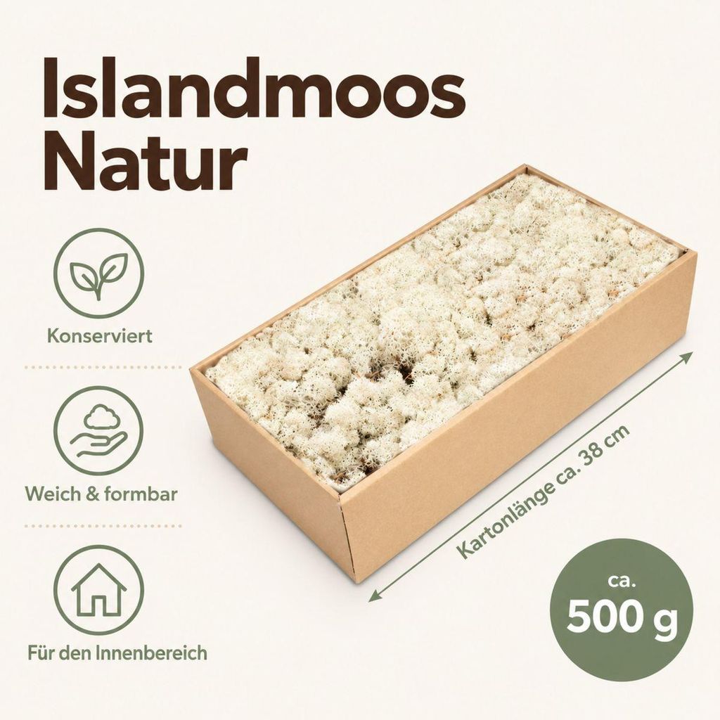 Islandmoos 500 g in über 30 Farben, konservierte Produktbild 