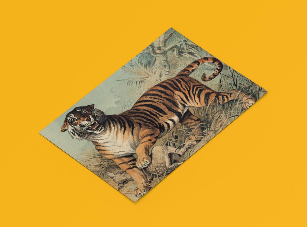 Fauchender Tiger Vintage Poster | Größe in cm: 100 x 70