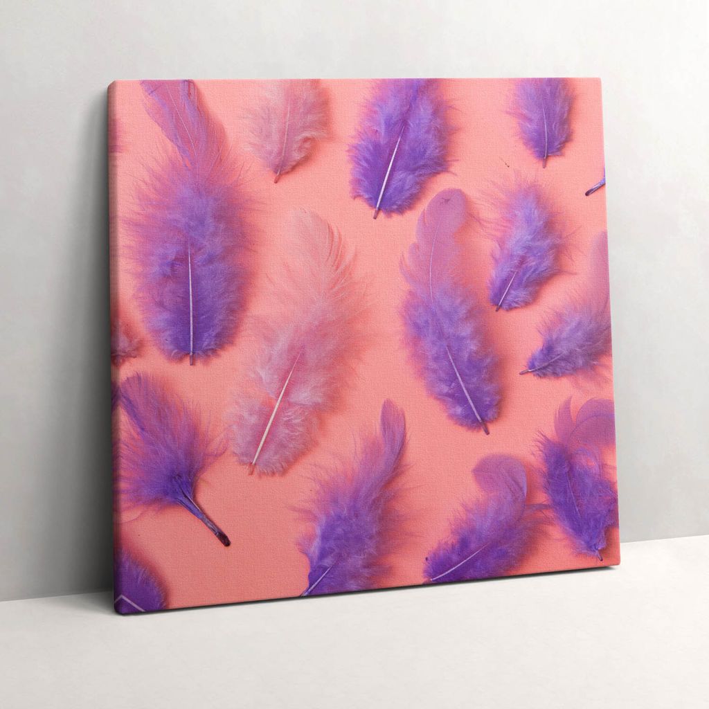 Colorful feathers – Leinwandbild Wandbild – 60x60 cm – Leinwandbilder – Wandbilder – Schlafzimmer – Flur