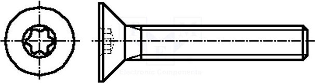 100x Schraube Kopf: Senopf Torx 0,45 TX08 M2,5x6 A2 Edel 3061677 Schraubenbolzen